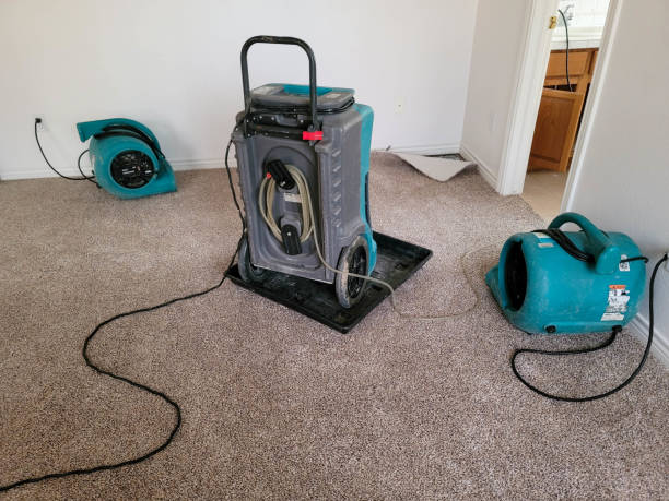 Best Water damage restoration experts  in Palmdale, CA