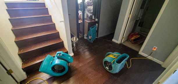 Best Flooded house restoration  in Palmdale, CA