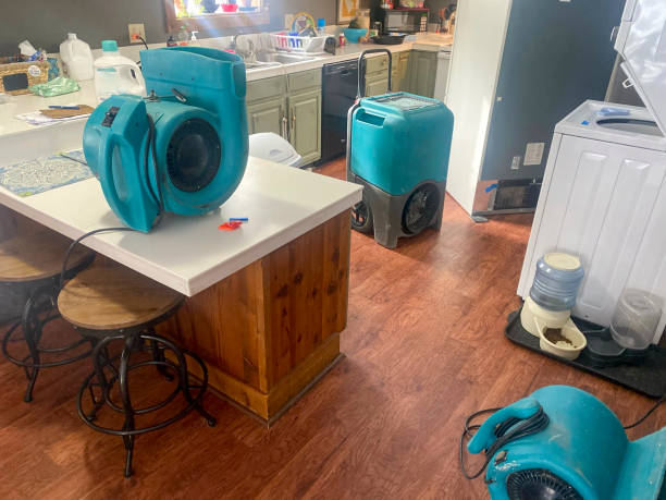 Best Water damage cleanup near me  in Palmdale, CA