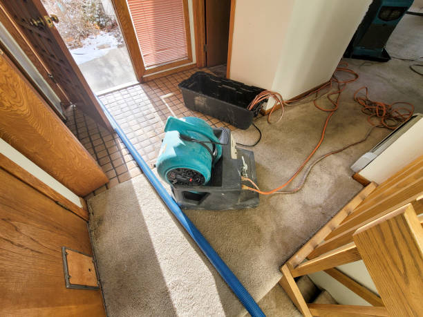 Best Sewage cleanup and water damage restoration  in Palmdale, CA