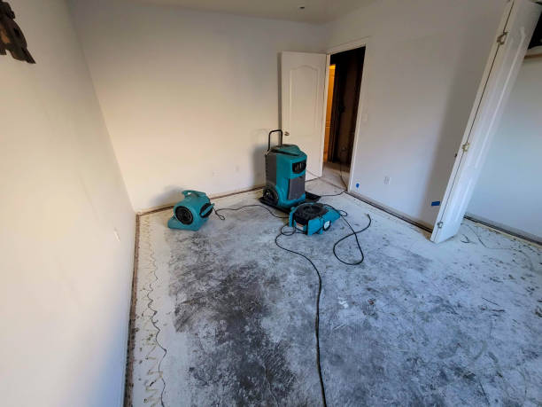 Best Water damage restoration process  in Palmdale, CA