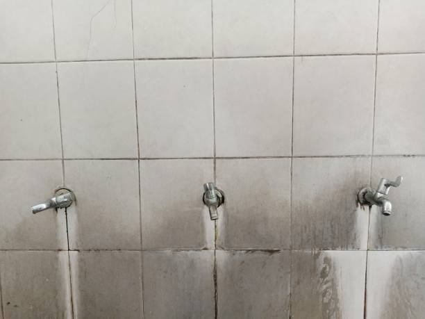Best Local water damage restoration  in Palmdale, CA