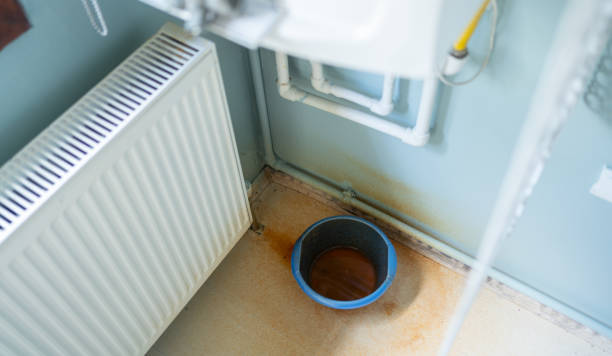 Best Ceiling water damage repair  in Palmdale, CA