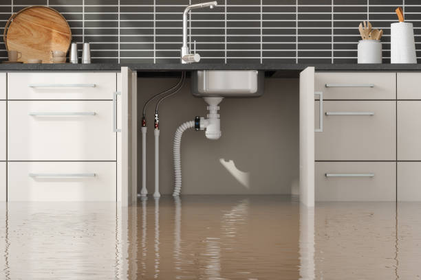 Best Residential water damage restoration  in Palmdale, CA
